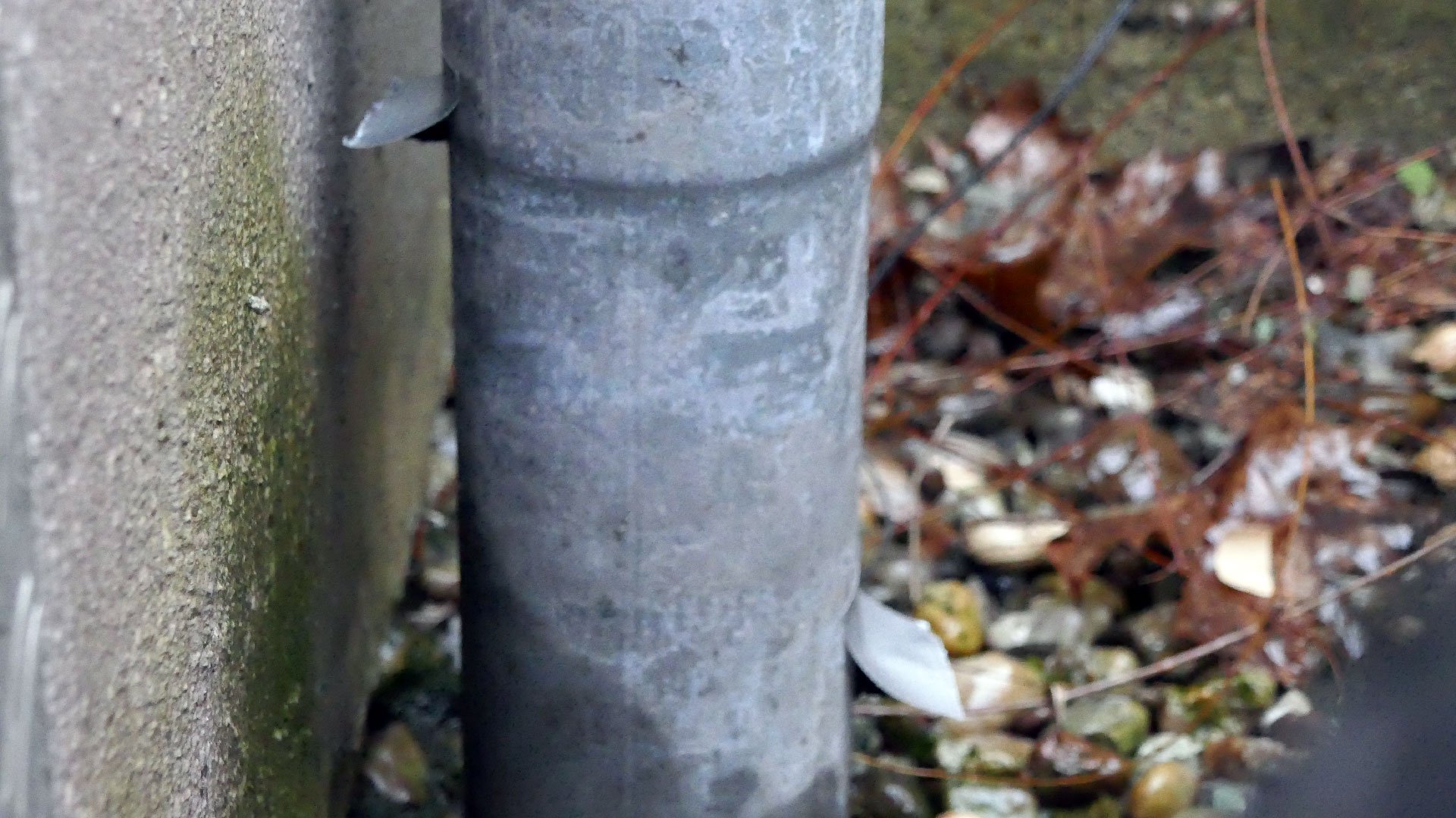 2024-01-22 Schneeschmelze (Audio)